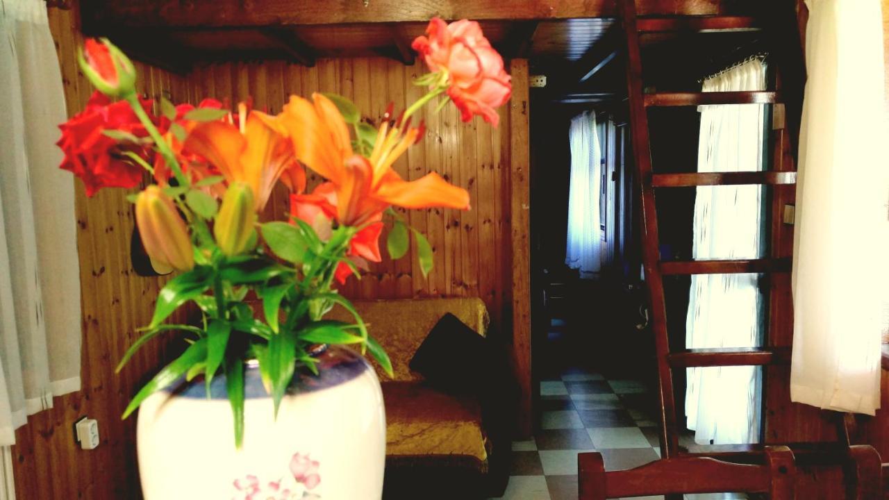 Appartamento Panorama Erétria Esterno foto