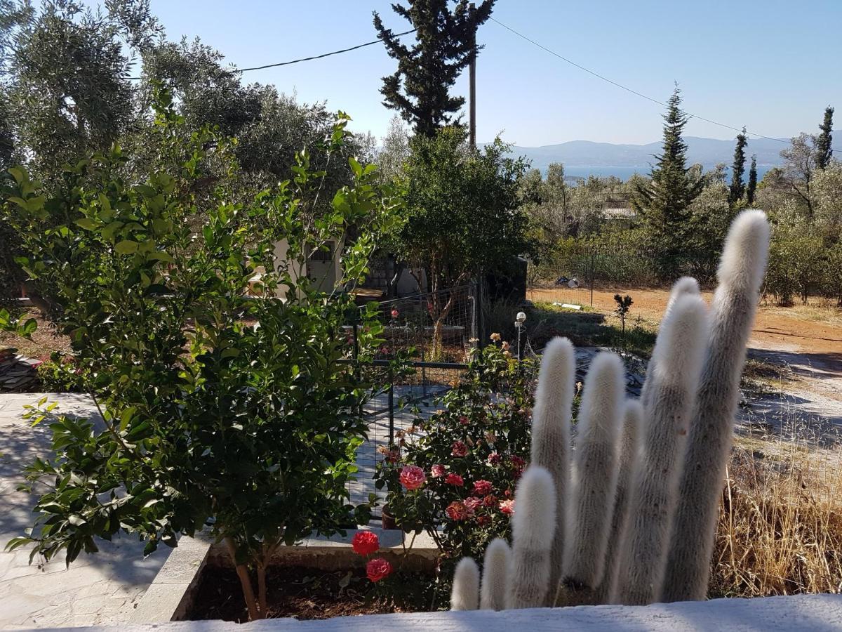 Appartamento Panorama Erétria Esterno foto
